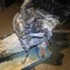 Sprinter W907 engine